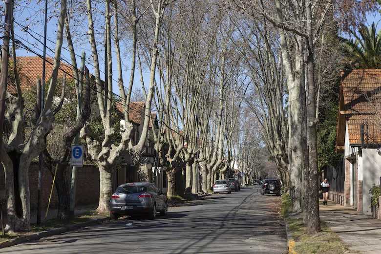 Los precios de las propiedades en venta aumentan en zona norte, pero hay barrios con oportunidades